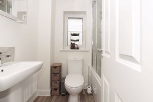 Photo 17- click for photo gallery